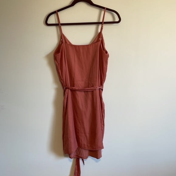 Feminine Rose Mini Dress Soft Girl Neutral Naked Zebra Silky Med Pink Minimalist - Picture 8 of 11